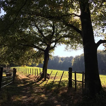 Logis - & Restaurant Du Tribunal Hotel 3*