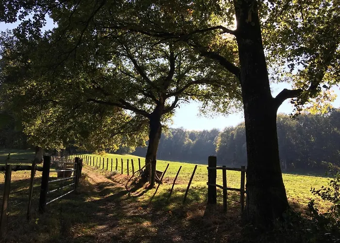 Logis - & Restaurant Du Tribunal Hotel 3*